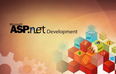Asp.Net web development